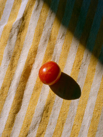 Single Red Heirloom Tomato on Striped Fabric