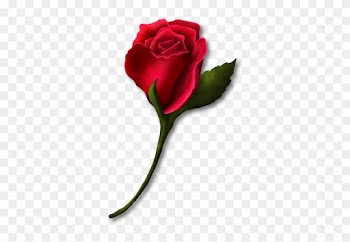 Single Rose Clip Art - Single Red Rose Clip Art