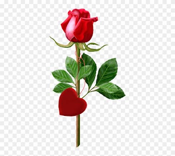 Single Rose Clipart - Rose Good Morning