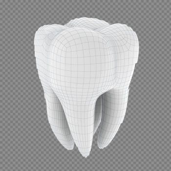 Single Teeth Download PNG Image