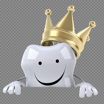Single Teeth PNG Image Transparent Background