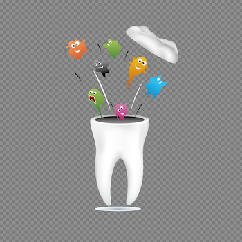 Single Teeth PNG Photo