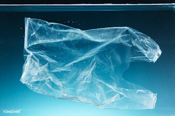 Single use plastic bag polluting the ocean | Free  photo - 2316223