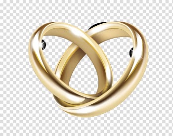 Sinopsis novel Book review Fiction, Ring transparent background PNG clipart