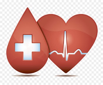 Sinus rhythm Electrocardiography Heart rate - The heart of the medical 