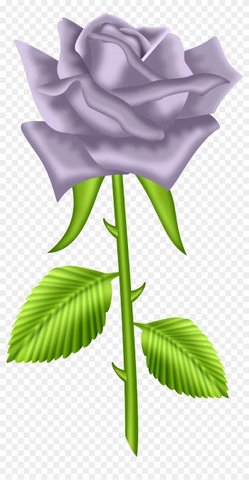 Site Russe, Black And White Roses, Clipart Design, - Rose