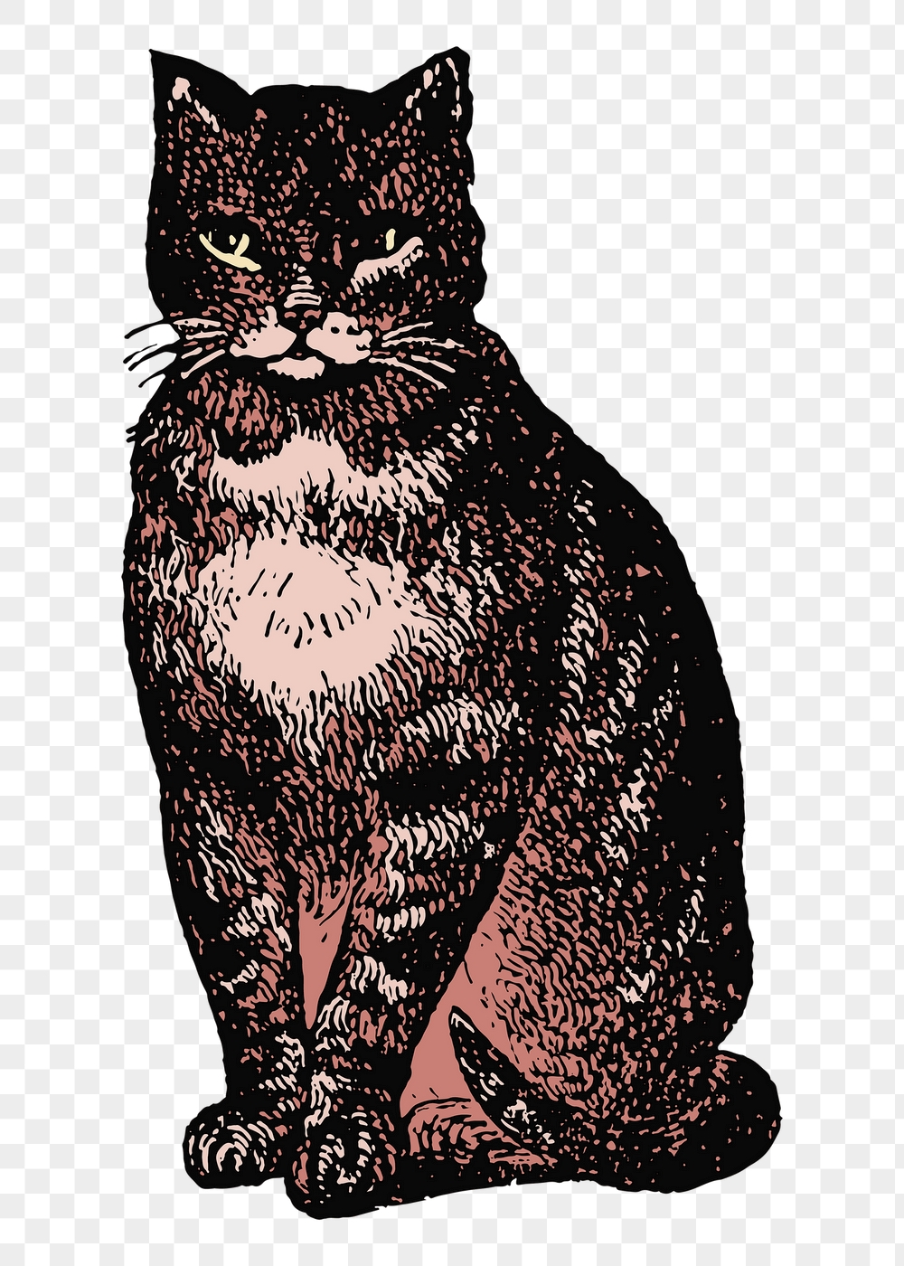 Sitting cat png sticker, pet | Free PNG Illustration - rawpixel