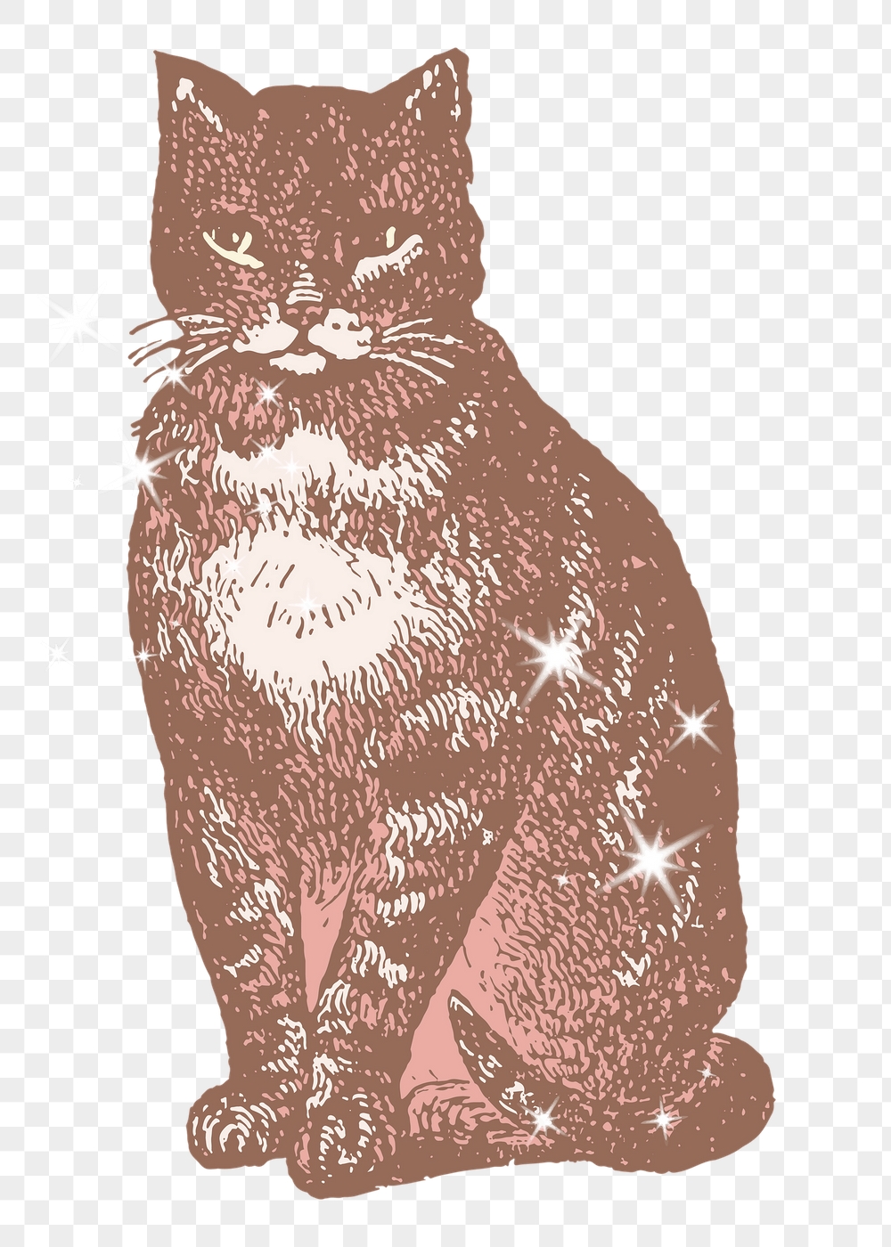 Sitting cat png sticker, pet | Free PNG Illustration - rawpixel