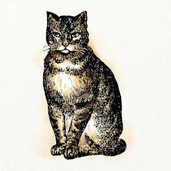 Sitting cat watercolor, animal illustration, | Free Photo Illustration - rawpixel