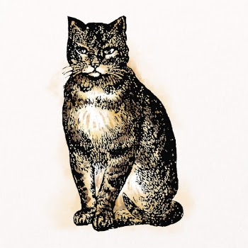 Sitting cat watercolor clipart, pet | Free PSD Illustration - rawpixel