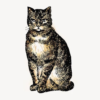 Sitting cat watercolor sticker, pet | Free Vector Illustration - rawpixel