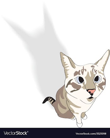 Sitting domestic cat vector image