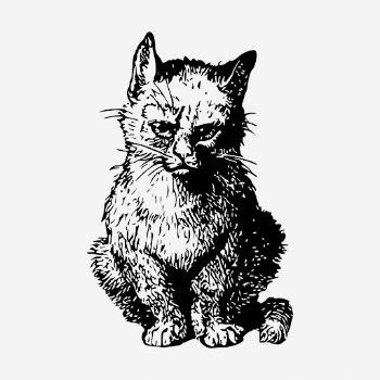 Sitting kitten drawing, vintage pet | Free Photo - rawpixel