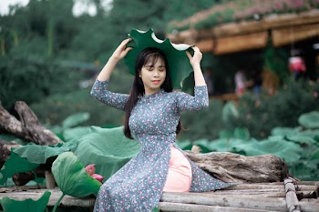 Sitting Woman Lifting Taro Plant Leaf