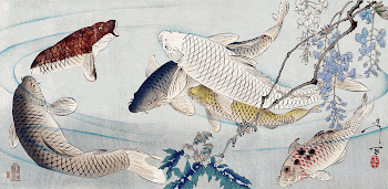 Six carp swimming beneath wisteria | Free Photo Illustration - rawpixel