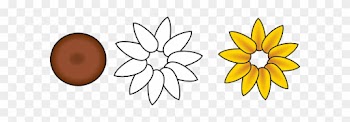 Six Petal Flower Template - Flower With Ten Petals