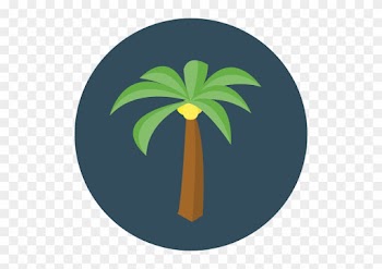 Size - Palm Trees