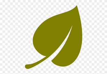 Sizes - Leaf Icon Png