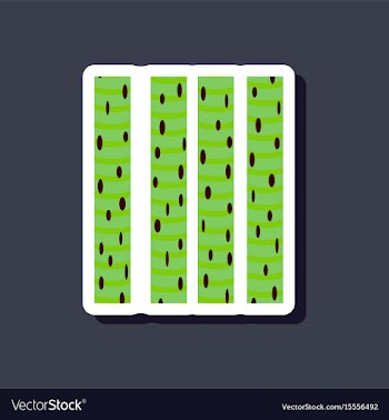 Skeletal striated muscle paper sticker on stylish vector image