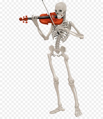 Skeleton Animation - Skeleton 