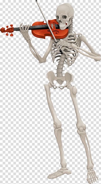 Skeleton Animation, Skeleton transparent background PNG clipart