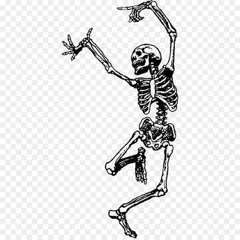Skeleton Dance Skull Drawing Bone - Skeleton 