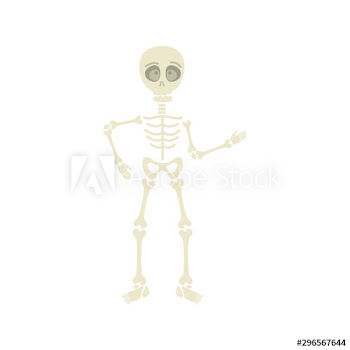 skeleton dead halloween design
