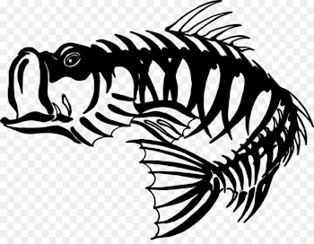 Skeleton Fishing Bass Clip art - Bass Skeleton Cliparts 