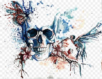 Skeleton Graphic design Skull Illustration - Vector skeleton 