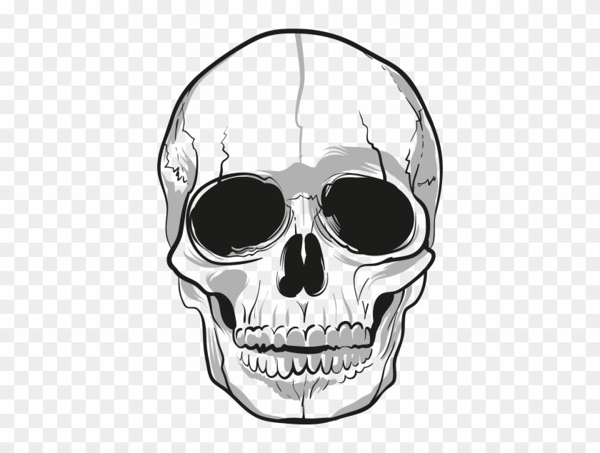Skeleton Head Hd Image Png Images - Png Transparent Skull Png