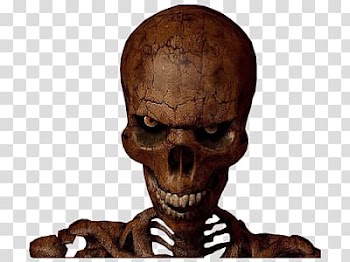 Skeleton illustration, Scary Skull Halloween transparent background PNG clipart