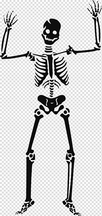 Skeleton illustration, Skeleton Skull , Skeleton siluet transparent background PNG clipart