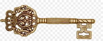 Skeleton key Stock photography Royalty-free - Retro key 