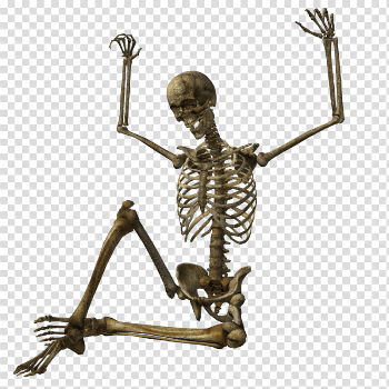 Skeleton Png Image