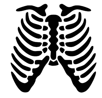 Skeleton Rib Cage SVG PDF PNG Eps Dxf File - Custom Designs ...