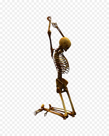 Skeleton Skull Clip art - Knees skull 