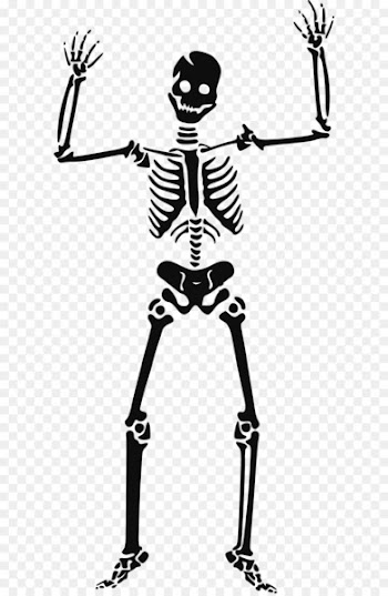 Skeleton Skull Clip art - Skeleton siluet PNG image 
