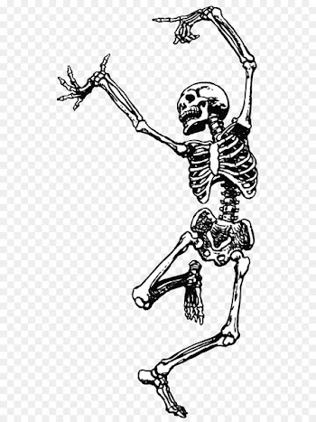 Skeleton Skull Dance Clip art - Skeleton 