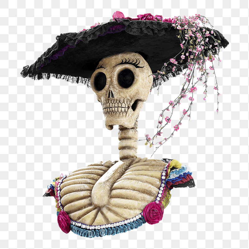 Skeleton statue png sticker, transparent | Free PNG - rawpixel