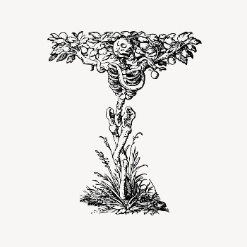 Skeleton tree clipart, drawing illustration | Free Vector Illustration - rawpixel