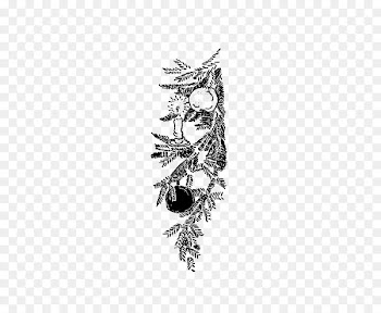 Sketch Bird Illustration Visual arts - kd stamp 