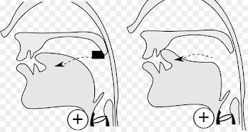 Sketch Ear Illustration Finger Cheek - ear 