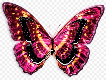 Sketch Light Butterflies and moths Tattoo Photography - blue Butterflies 