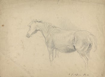 Sketch of a Horse | Free Photo - rawpixel