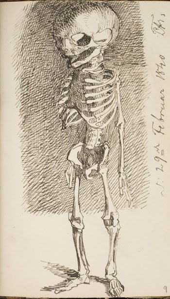 Sketch of a standing skeleton | Free Photo - rawpixel
