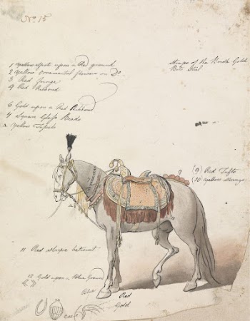 Sketch of an Elaborately Saddled | Free Photo - rawpixel