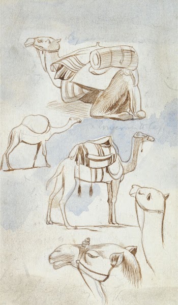 Sketch studies of camels | Free Photo - rawpixel