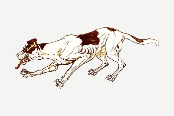 Skinny dog drawing, vintage illustration | Free PSD - rawpixel