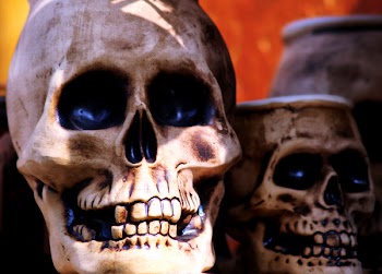 skulCN_2314.jpg