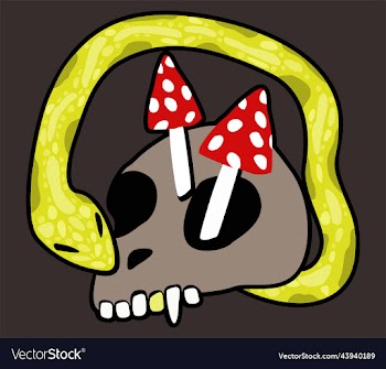 skull